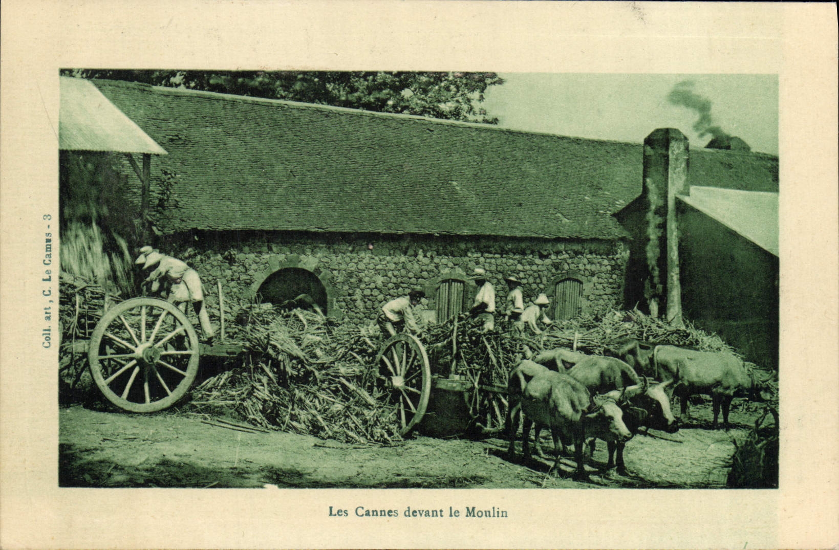 CPA Les cannes devant le moulin Boeufs