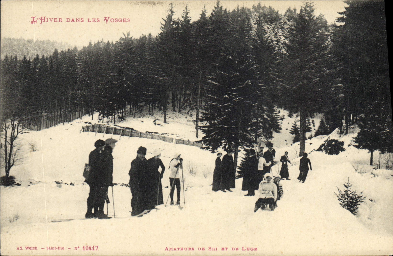 VINTAGE POSTCARD Winter sports Ski the Vosges Amateurs of ski and toboggan