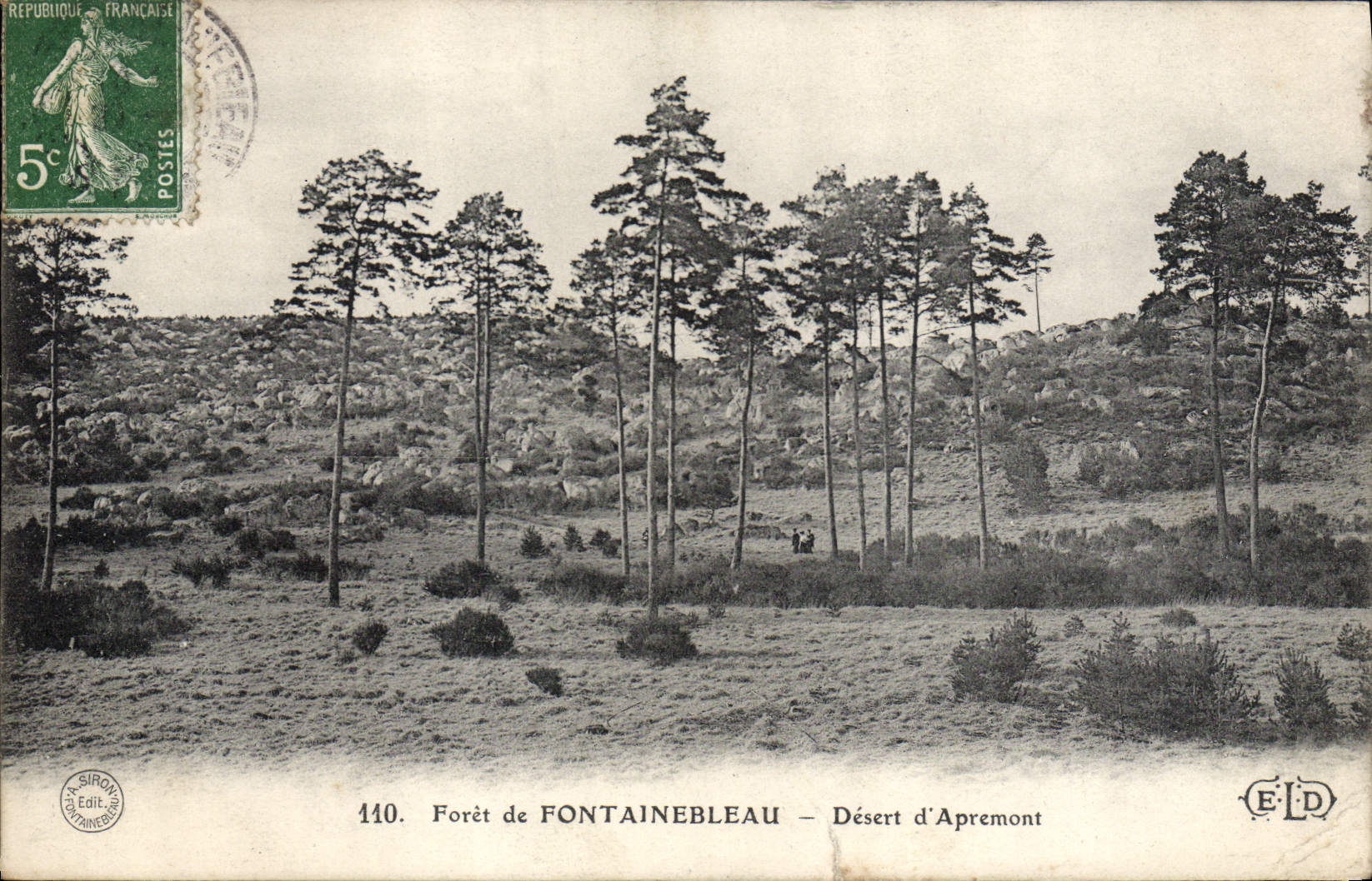 CPA Foret de Fontainebleau Desert d'Apremont