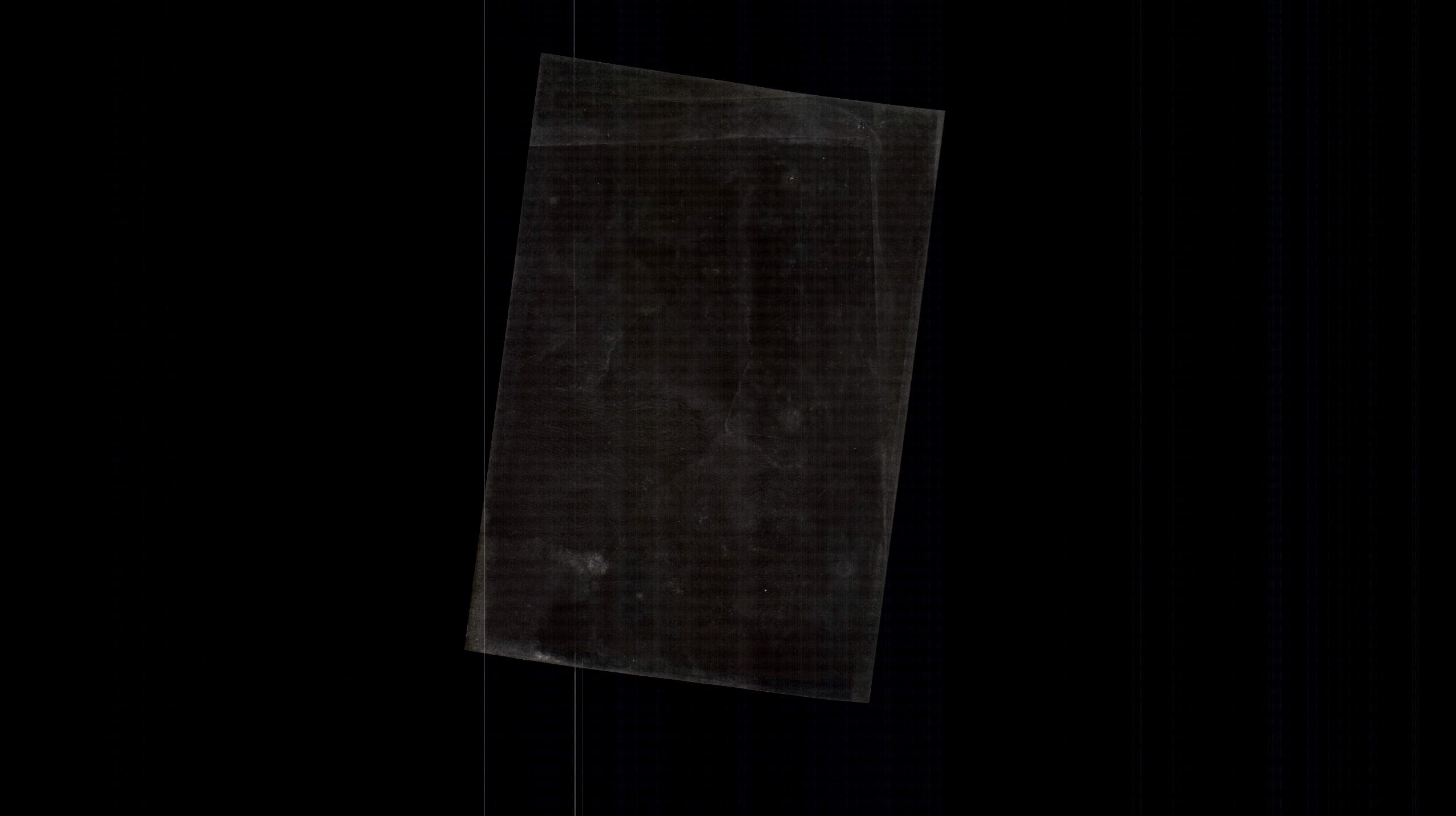 Photograph Scout Scouting Jamboree Scouts motant in branches