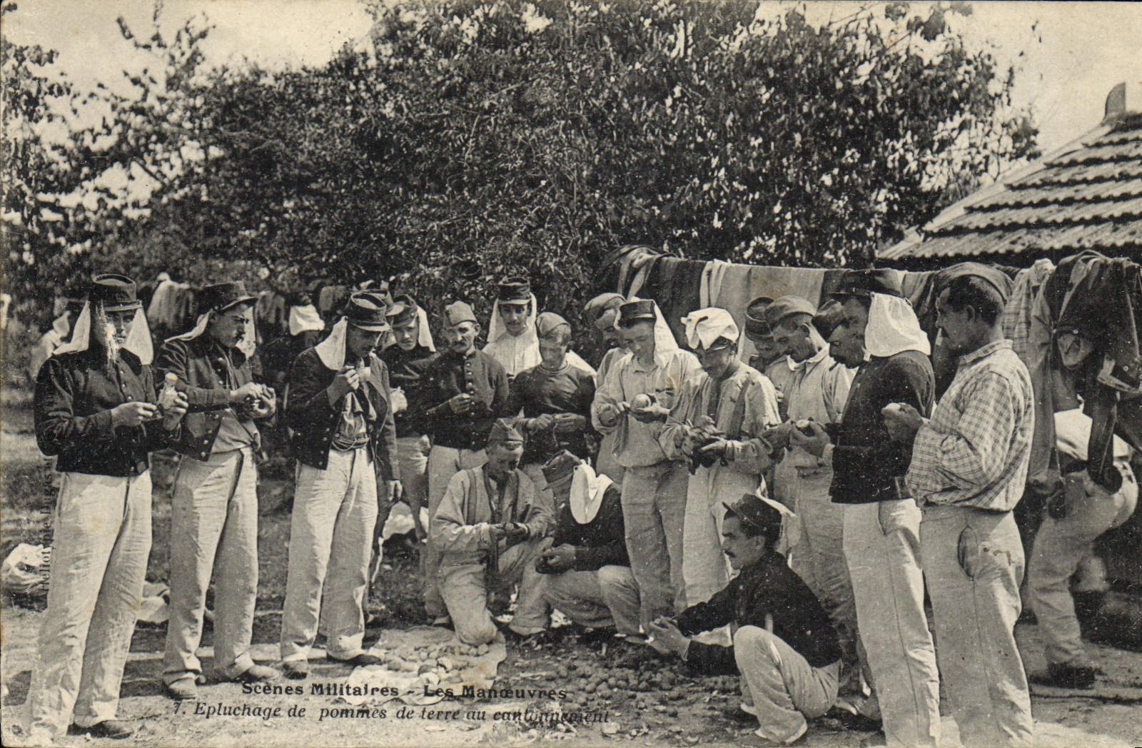 VINTAGE POSTCARD Militaria Weeding of potatoes to quartering