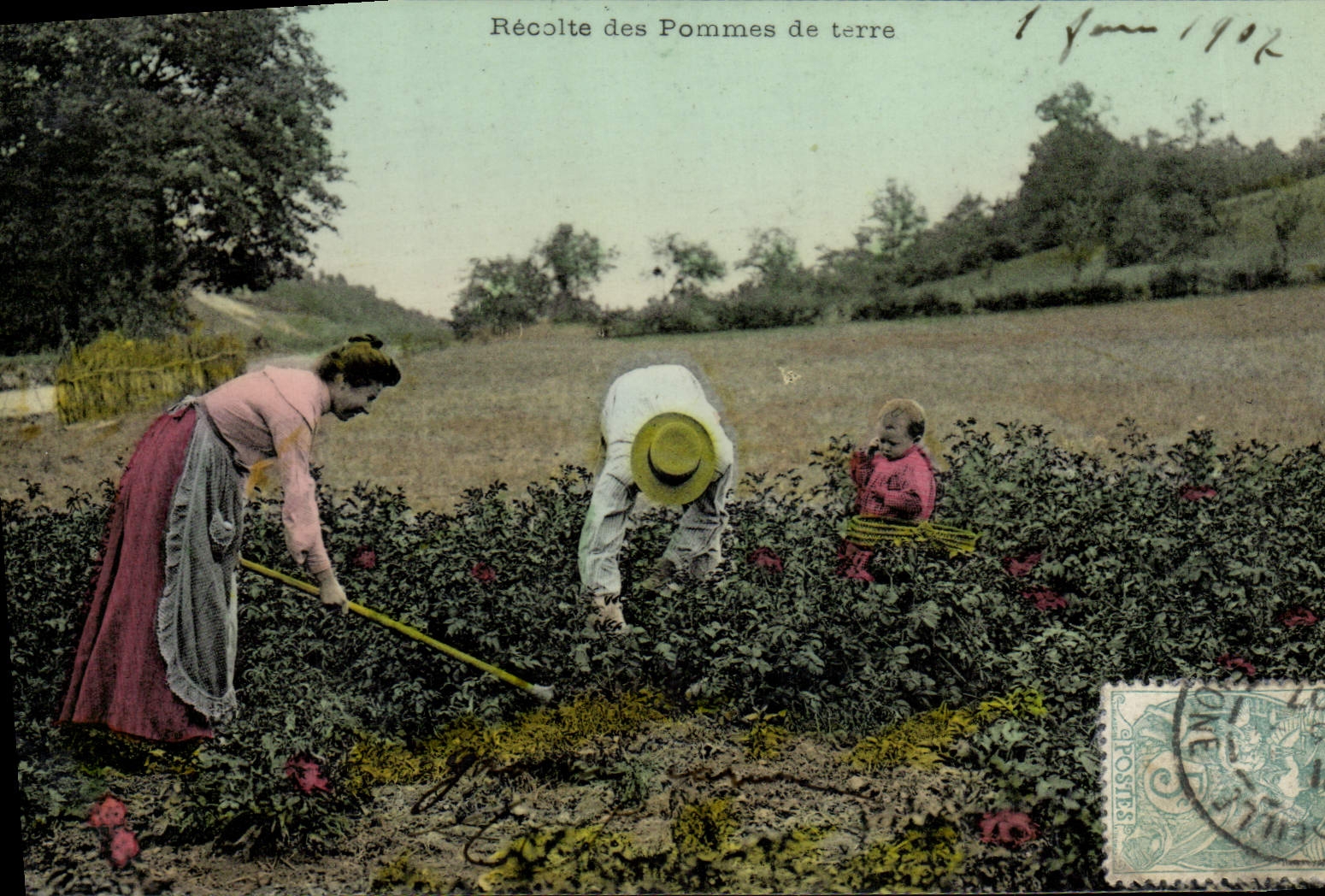 CPA Recolte des pommes de terre 