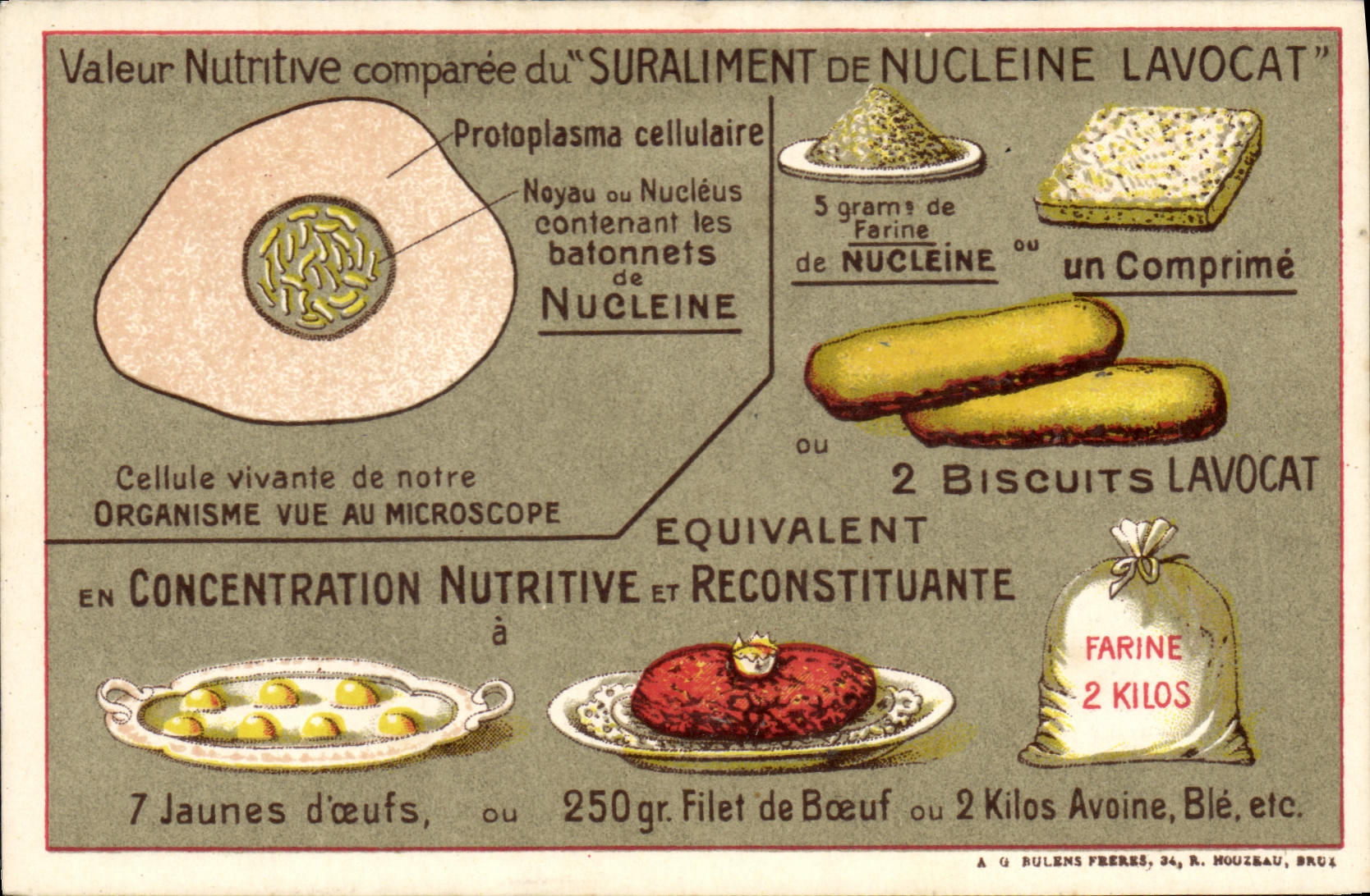 VINTAGE POSTCARD Publicity Suraliment de Nucleine LAVOCAT