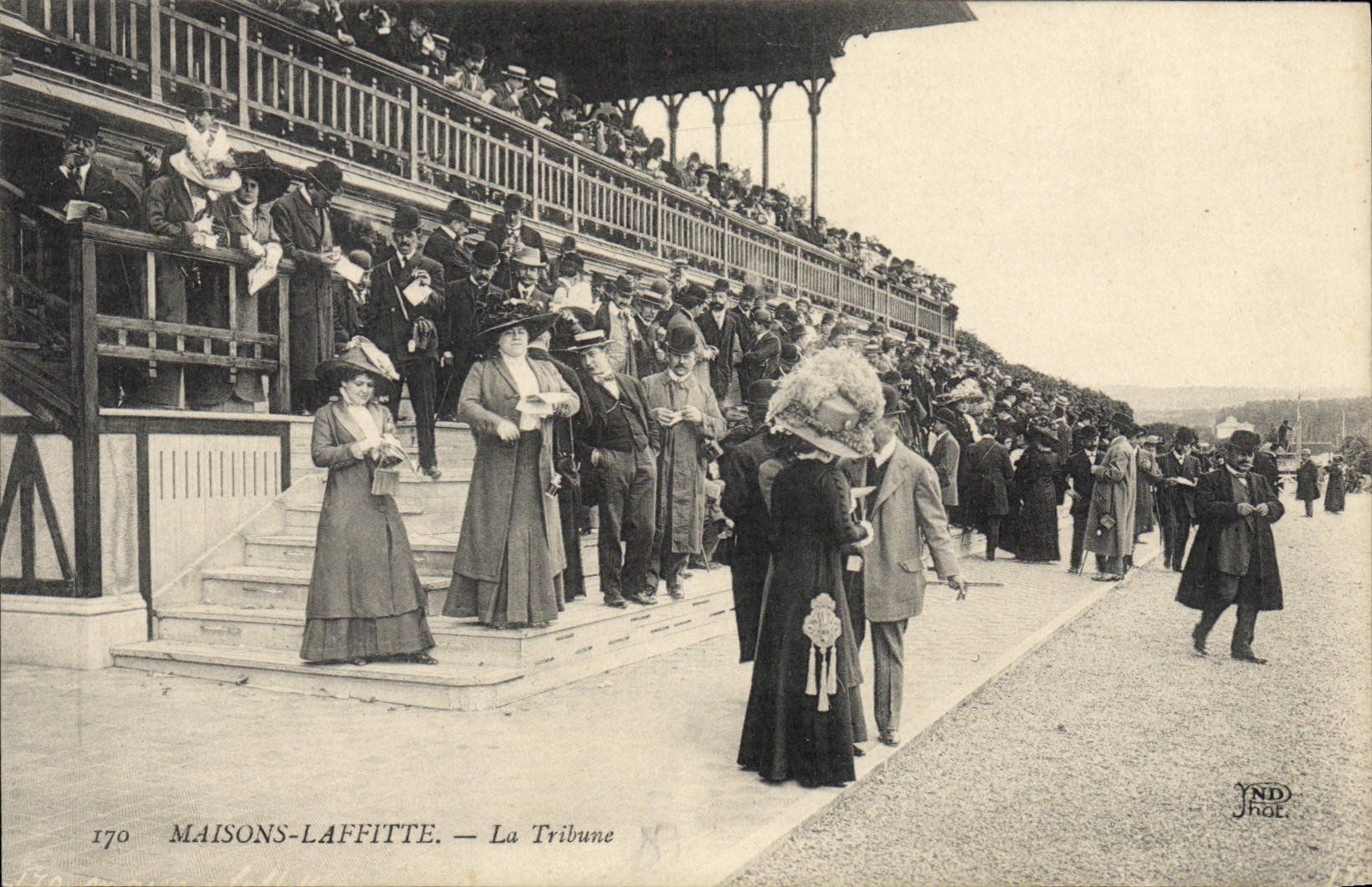 CPA Cheval Equitation Hippisme Maisons Laffitte La tribune