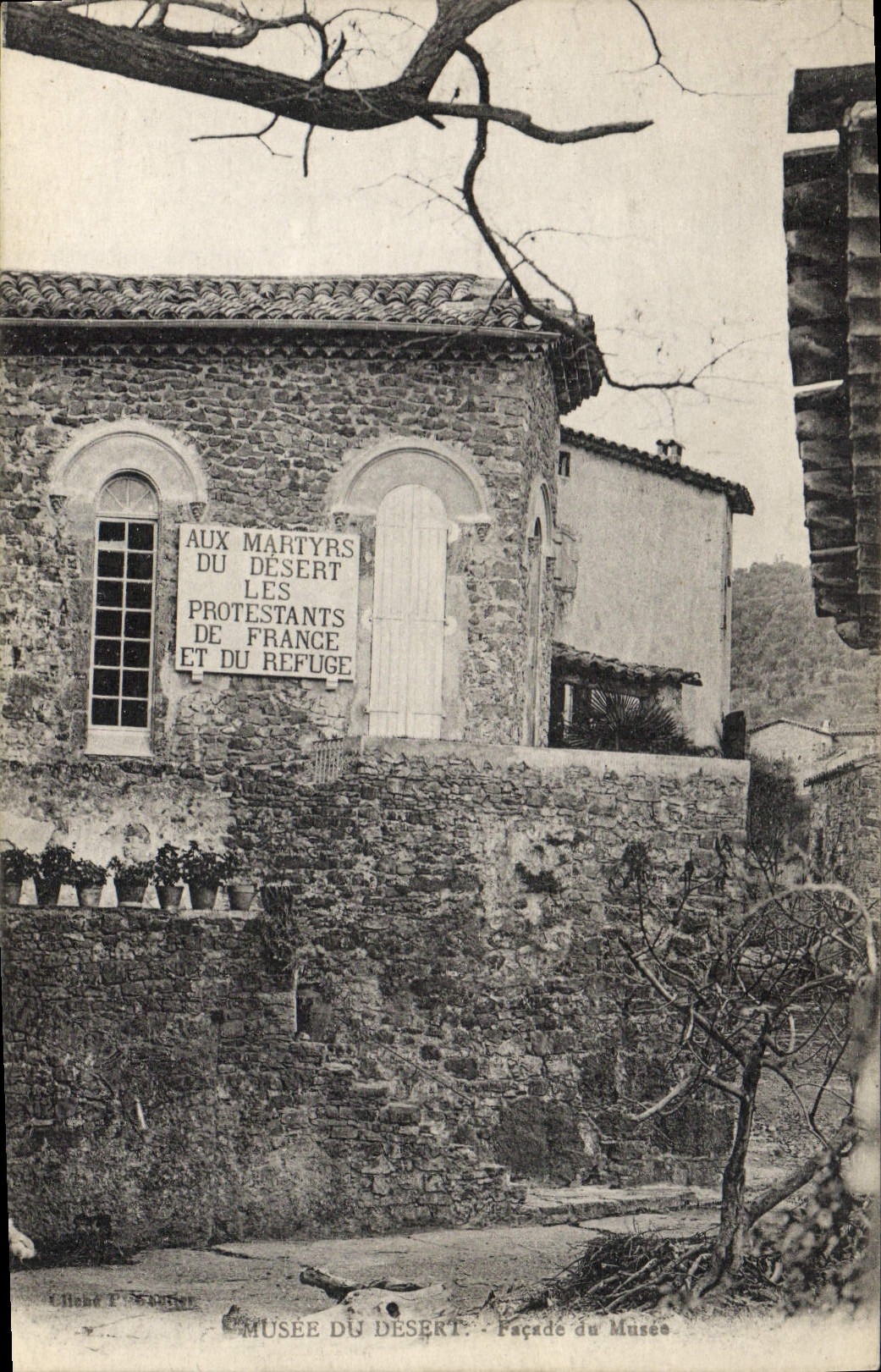 Museo de la POSTAL de la VENDIMIA del ataque frontal del desierto del museo