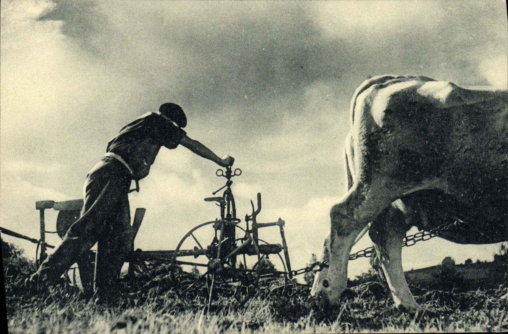 VINTAGE POSTCARD Scout Jamboree Compagnons of France Furrow after furrow completes your spot