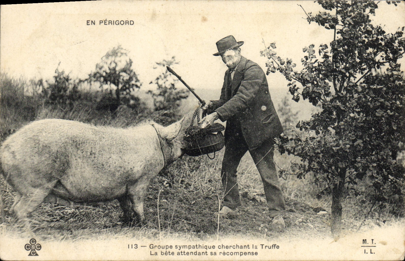 CPA Cochon Porc Folklore En Perigord Groupe sympathique cherchant la truffe