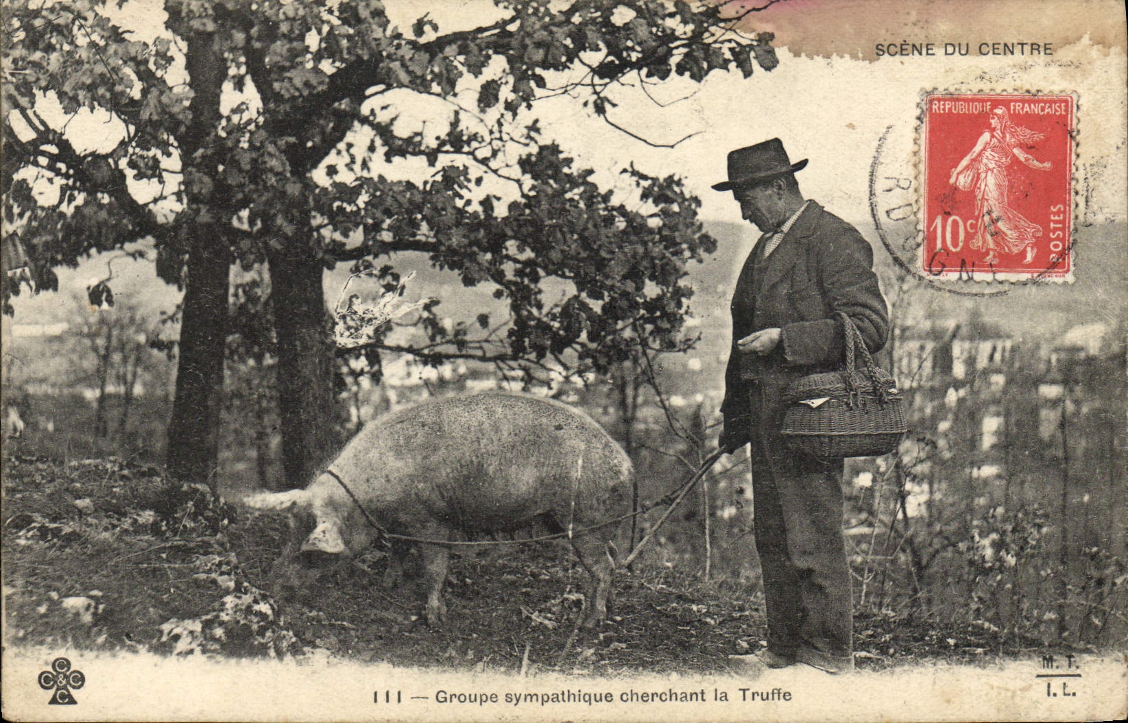 CPA Cochon Porc Folklore Groupe sympathique cherchant la truffe