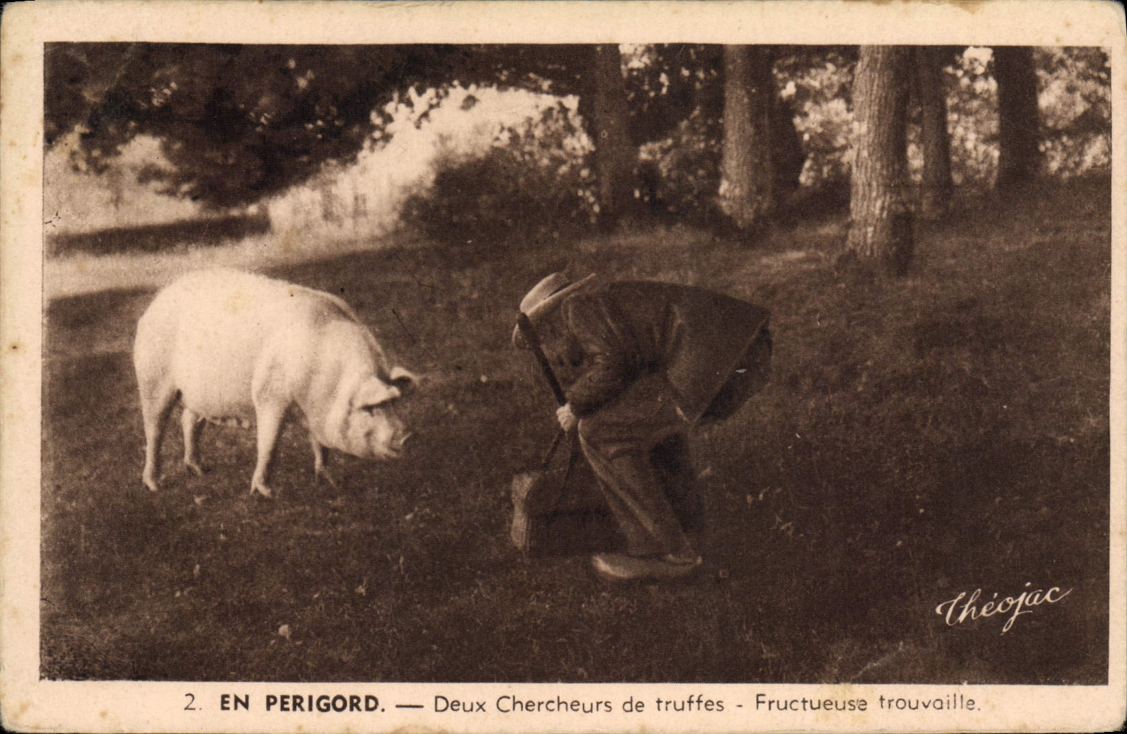 CPA Cochon Porc Folklore en Perigord Deux chercheurs de truffes Fructueuse trouvaille
