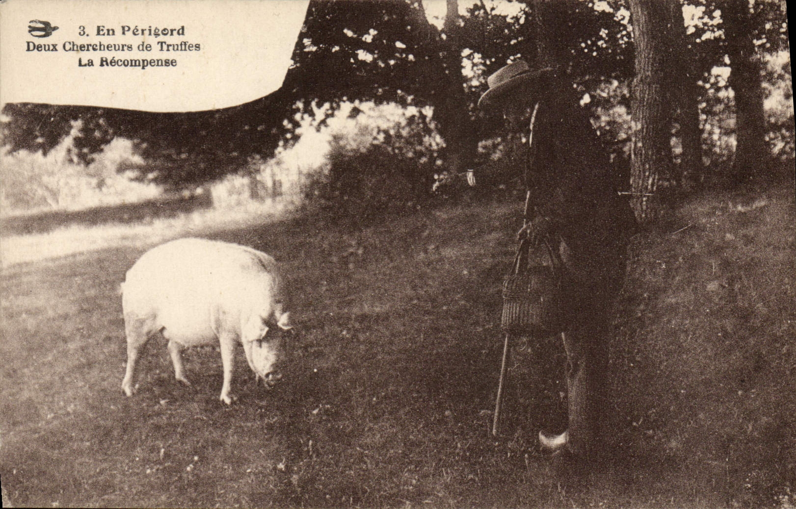 CPA Cochon Porc Folklore en Perigord Deux chercheurs de truffes La recompense 