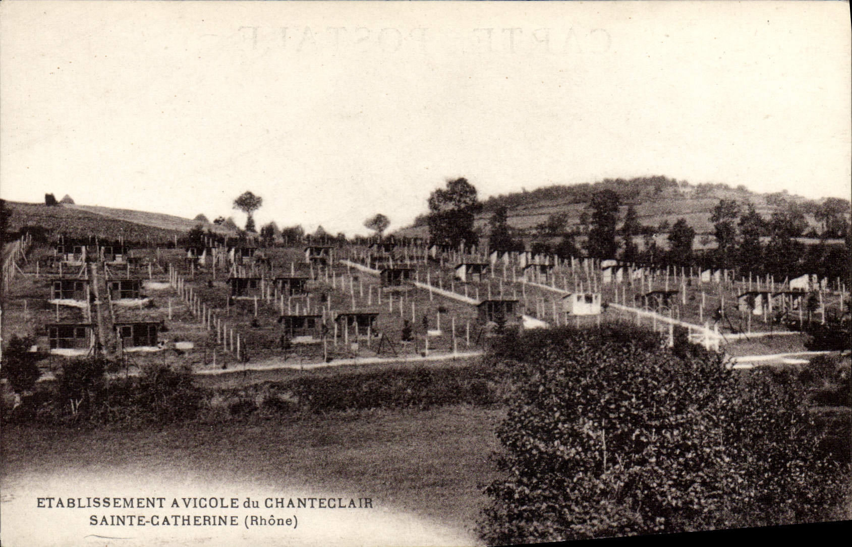 VINTAGE POSTCARD avicolous Establishment of Chanteclair Sainte Catherine Miel Bee