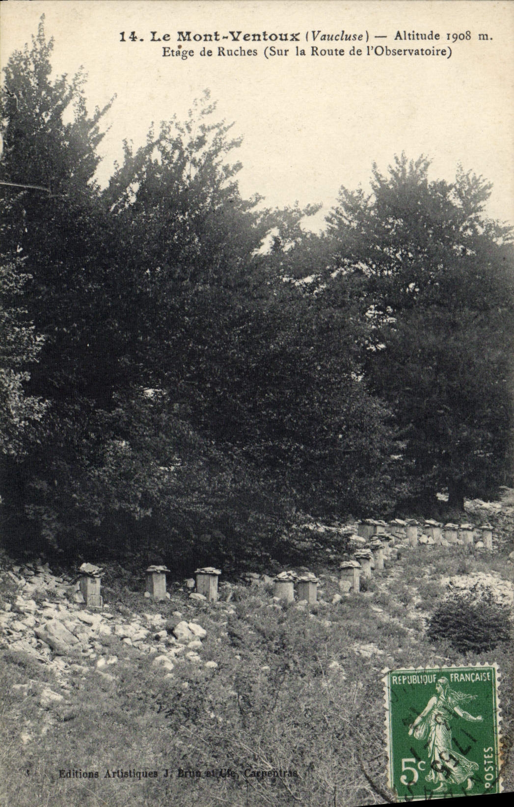 VINTAGE POSTCARD the Ventoux mount Stages hives On the road of the observatory Miel Bee