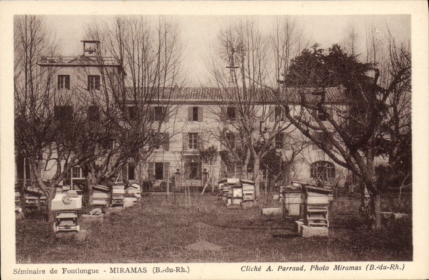 CPA Seminaire de Fontlongue Miramas Miel Abeille 