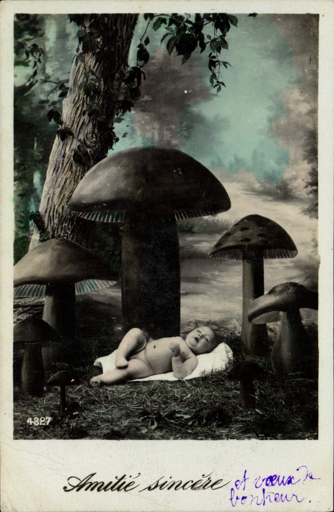 VINTAGE POSTCARD Mushroom Mushrooms Child Baby