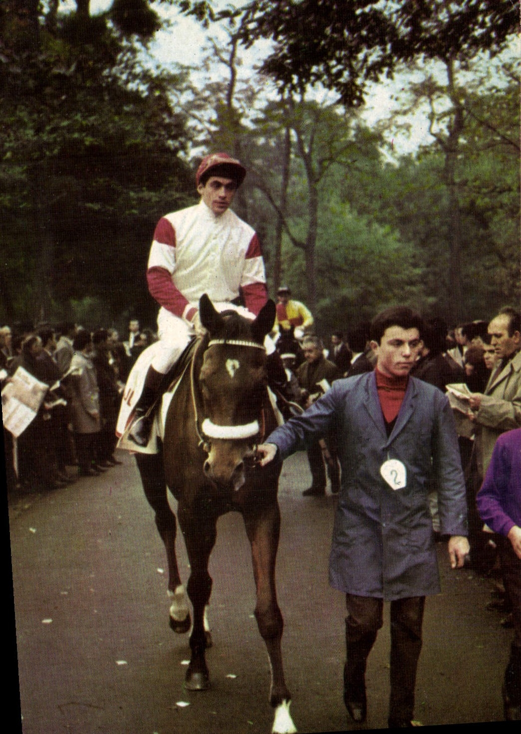 CPM Cheval Equitation Hippisme Postillon Calendrier 1967 