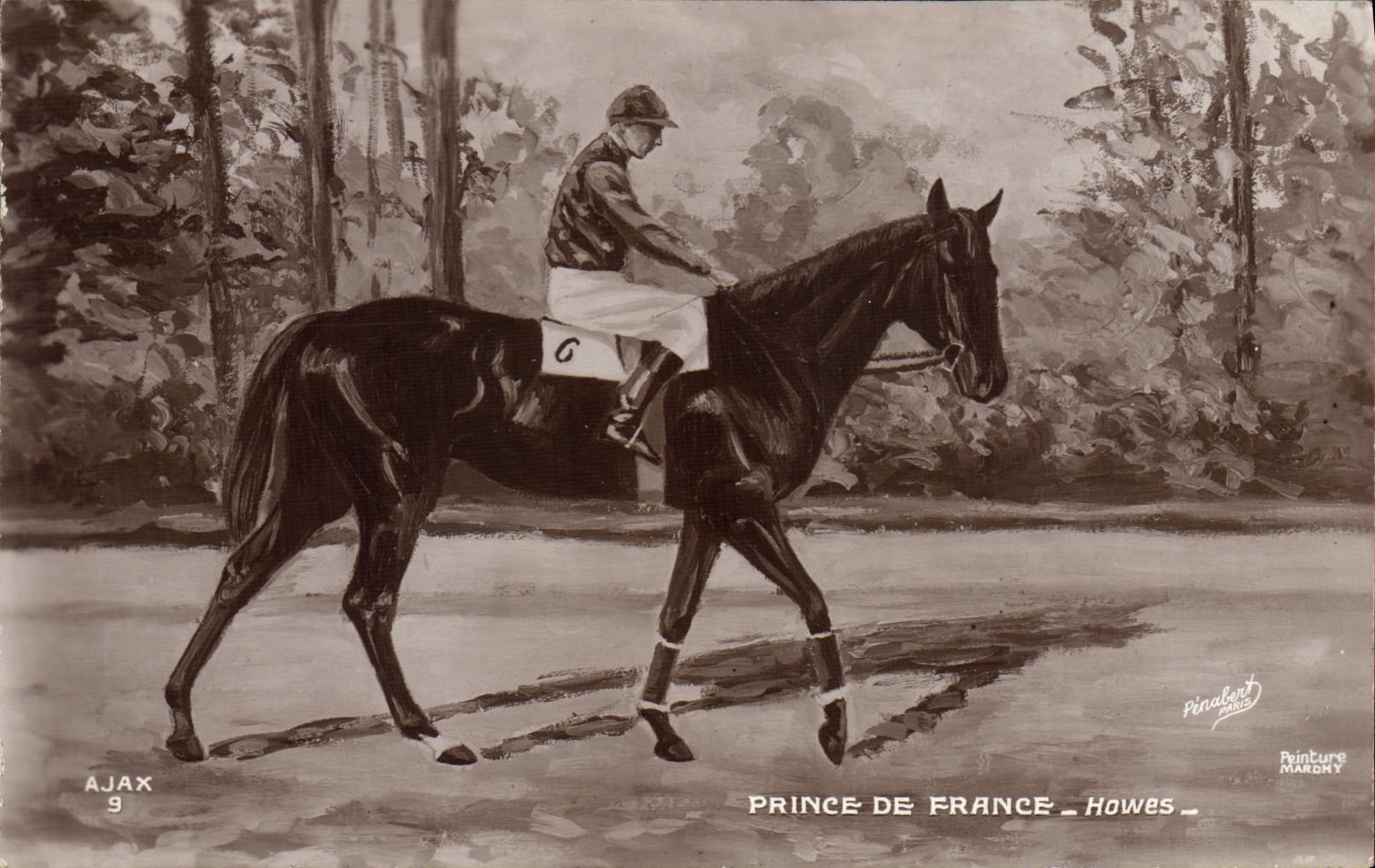 CPA Cheval Equitation Hippisme Fiterari Howes