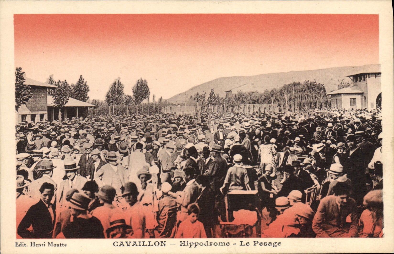 CPA Cheval Equitation Hippisme Cavaillon Hippodrome le pesage 