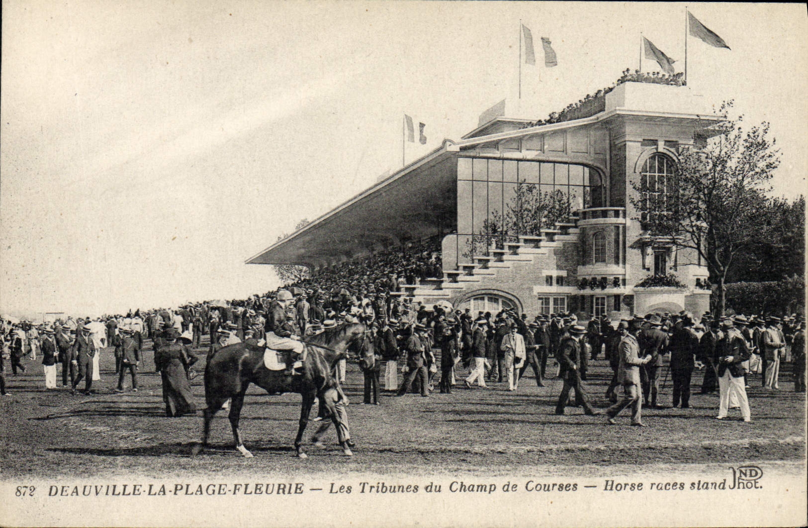 CPA Cheval Equitation Hippisme Deauville Les tribunes du champ de courses 
