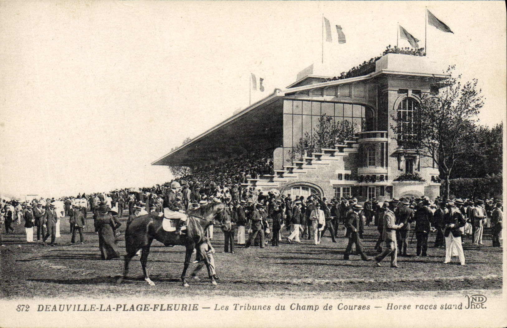 CPA Cheval Equitation Hippisme Deauville Les tribunes du champ de courses 