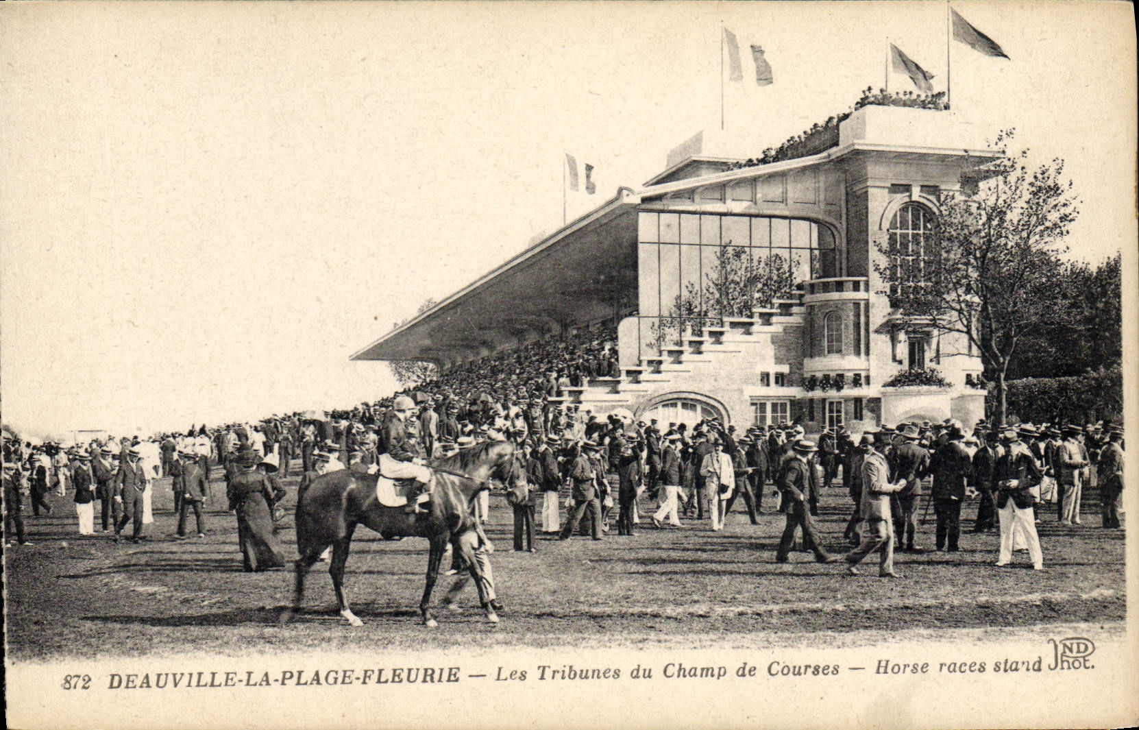 CPA Cheval Equitation Hippisme Deauville Les tribunes un jour de courses