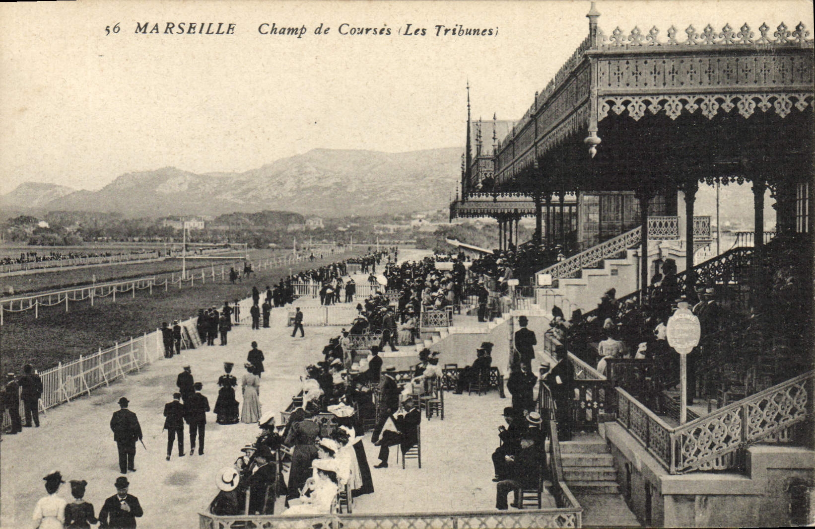CPA Cheval Equitation Hippisme Marseille Champ de courses les tribunes