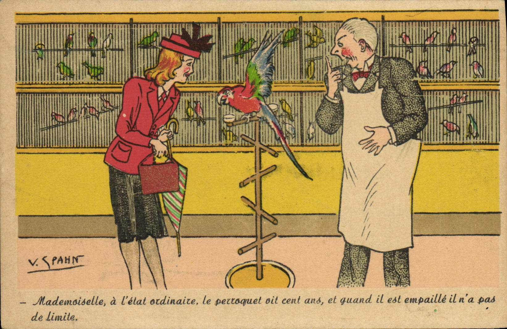 CPA Illustrateur Spahn Perroquet Oiseau