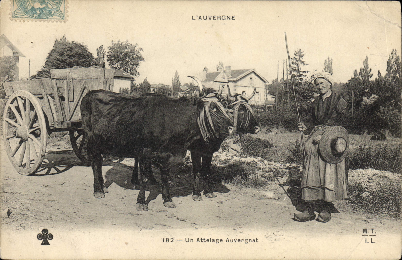 CPA Folklore Auvergne Un attelage auvergnat Boeufs 