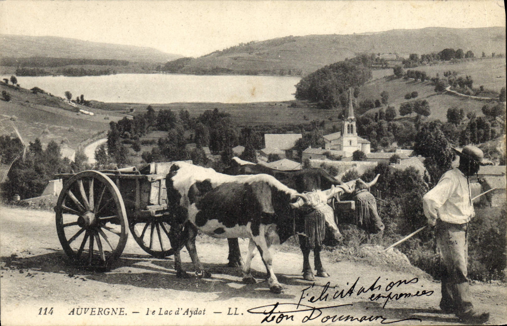 CPA Folklore Auvergne Le lac d'Aydat Vaches 