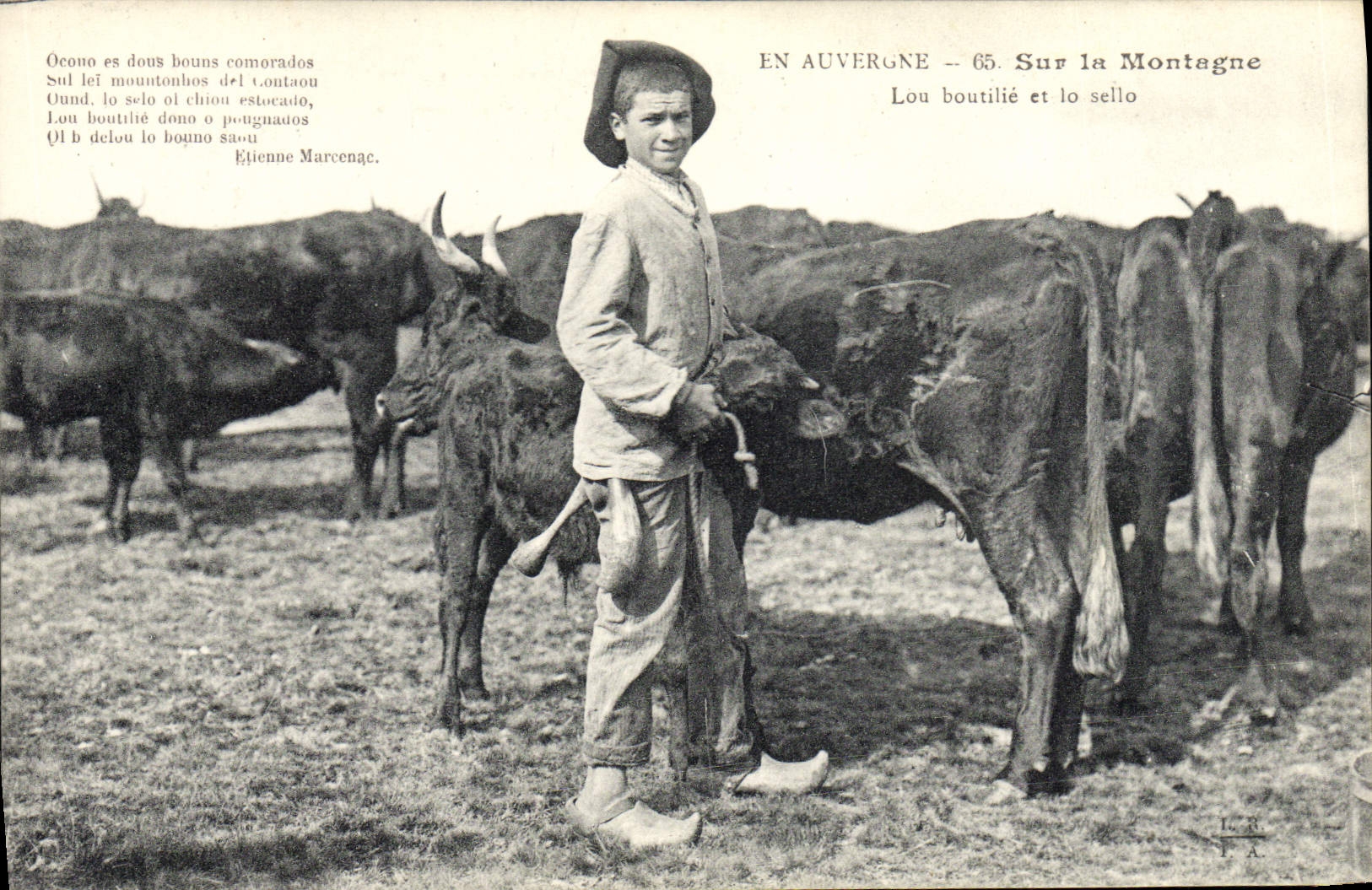 CPA Folklore Auvergne Sur la montane Vaches Enfant TOP