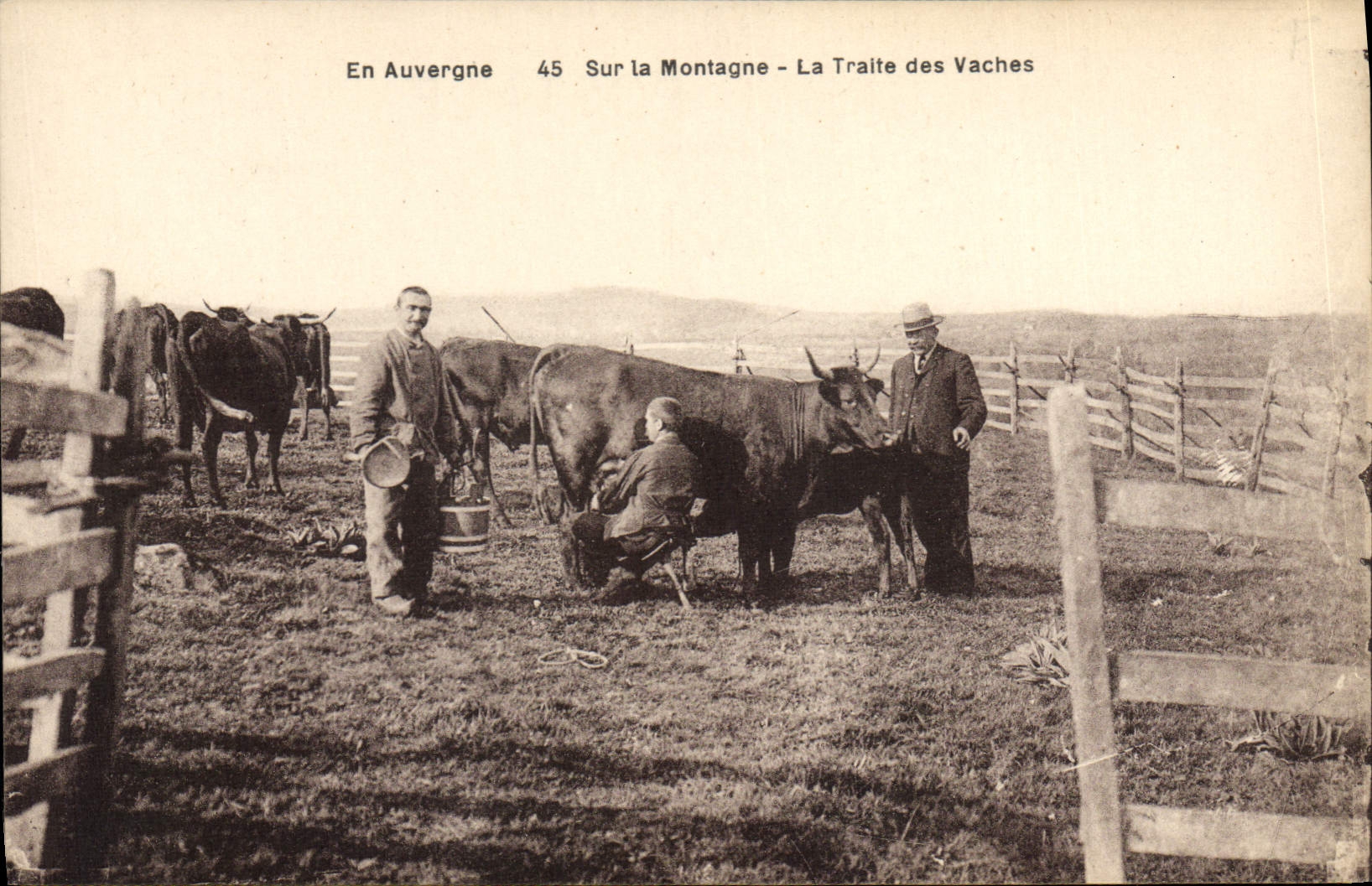 CPA Folklore Auvergne La traite des vaches 