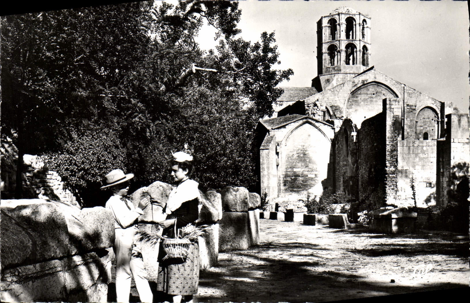 MODERN CARD Arles Alyscamps