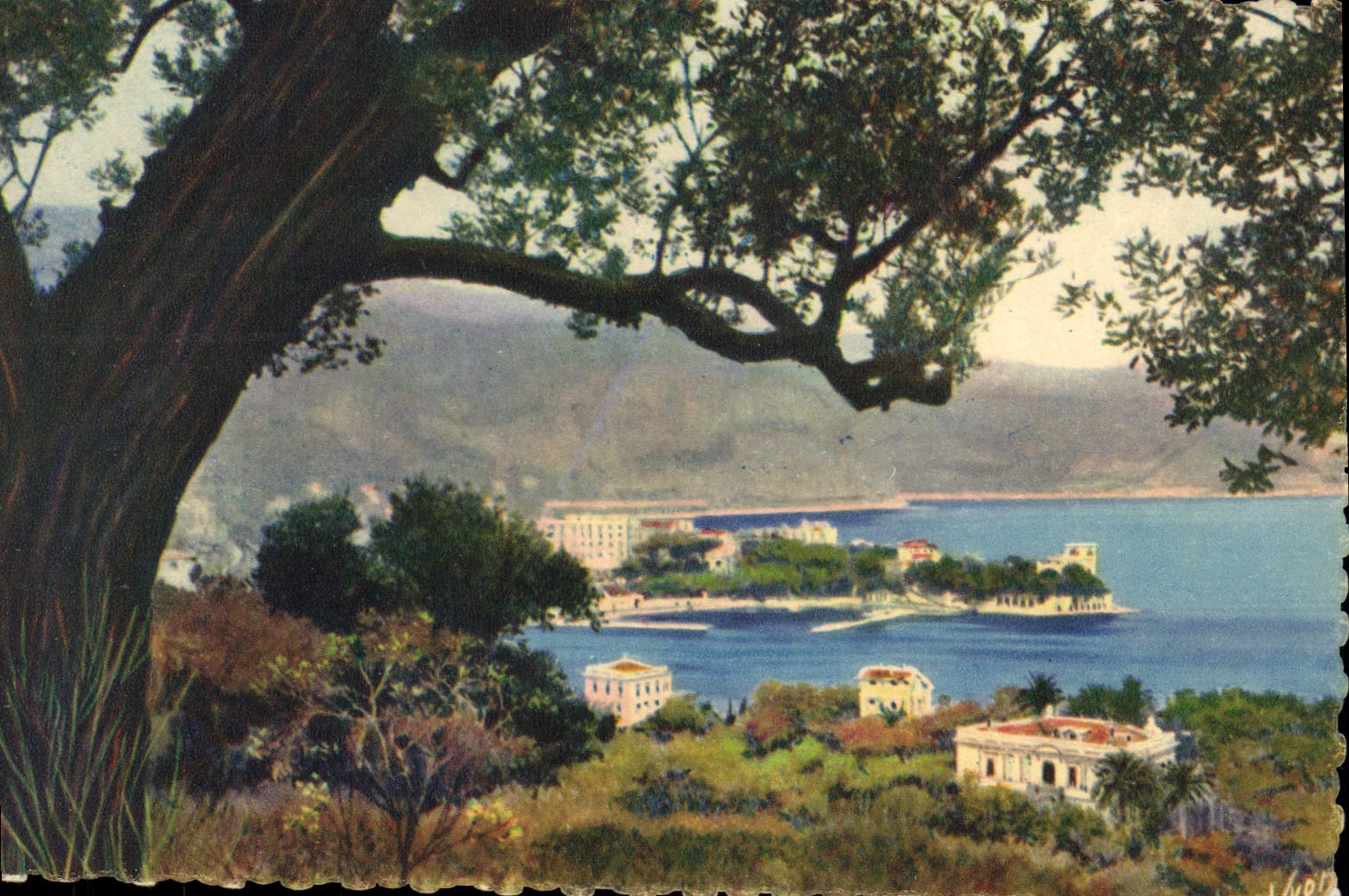 CPA Cote D'Azur Beaulieu