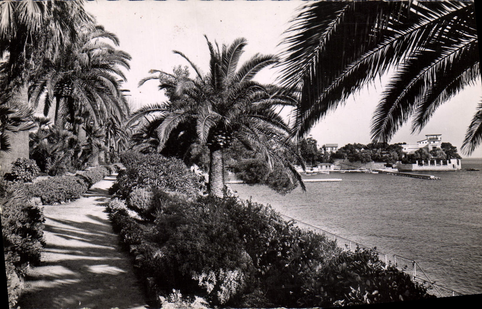CPM Beaulieu Sur Mer Le Jardin Exotique La villa Kerylos