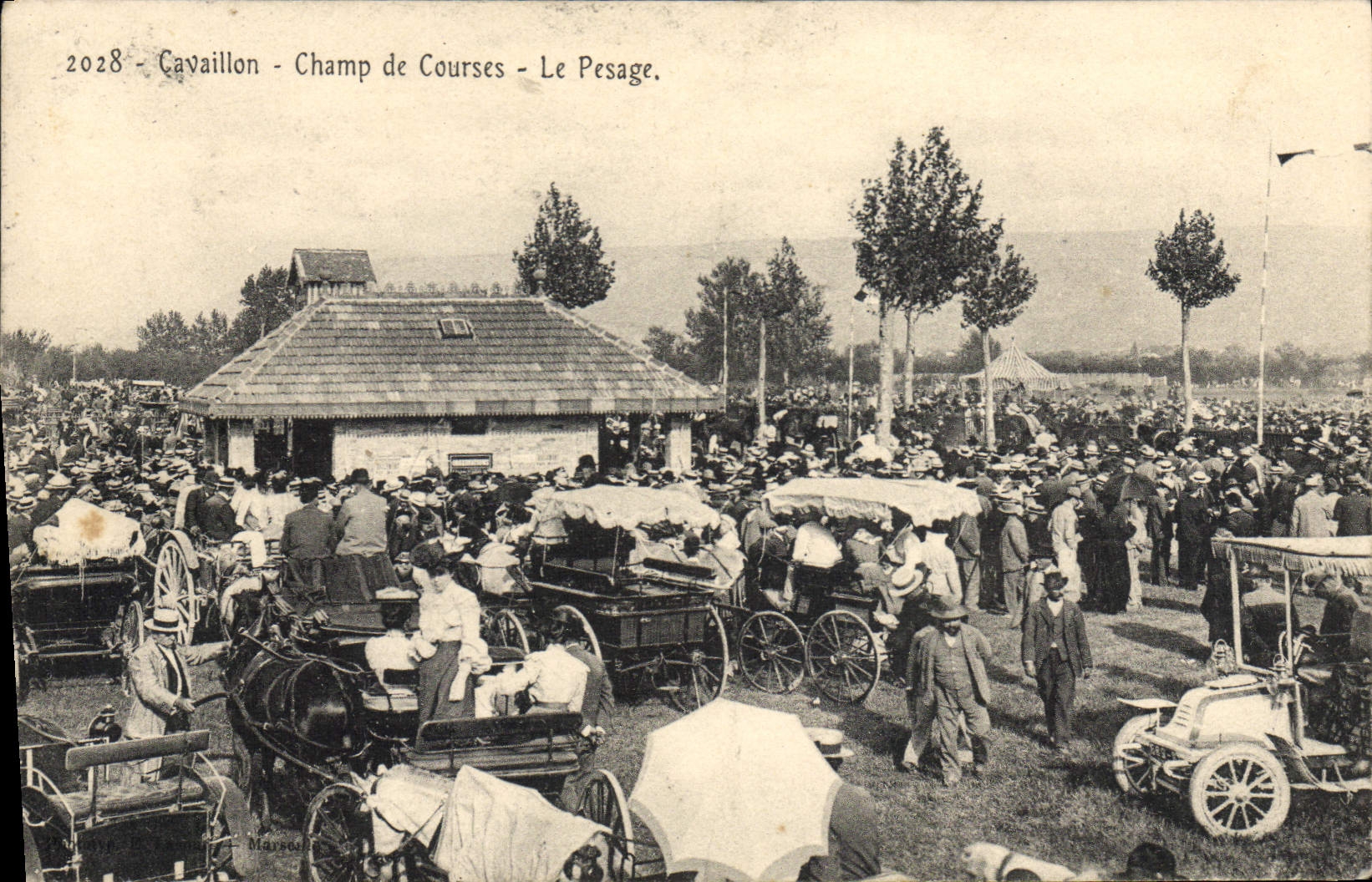 CPA Cheval Equitation Hippisme Cavaillon Champ de courses Le pesage TOP