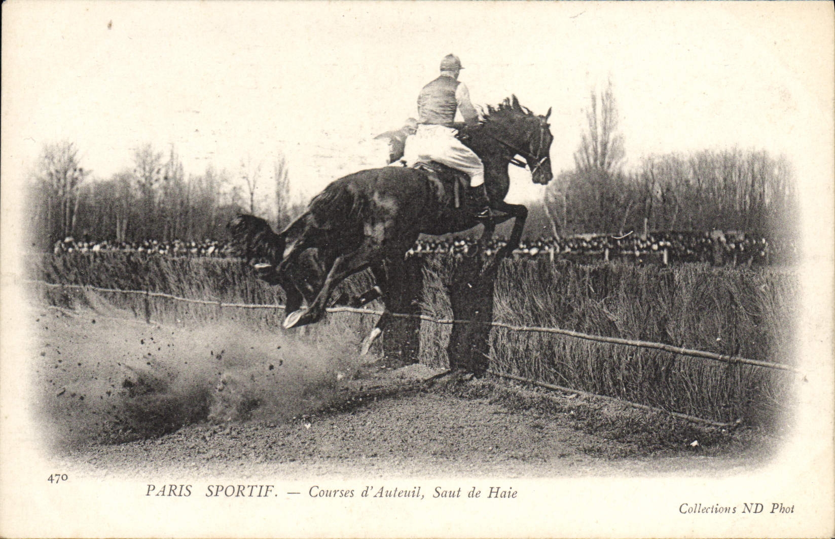 CPA Cheval Equitation Hippisme Paris Sportif Courses d'Auteuil Saut de haie