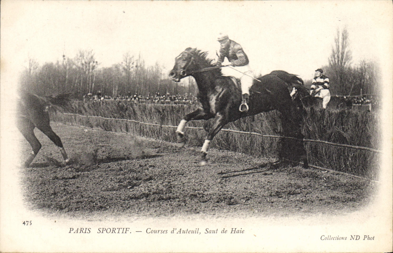 CPA Cheval Equitation Hippisme Paris Sportif Courses d'Auteuil Saut de haie 