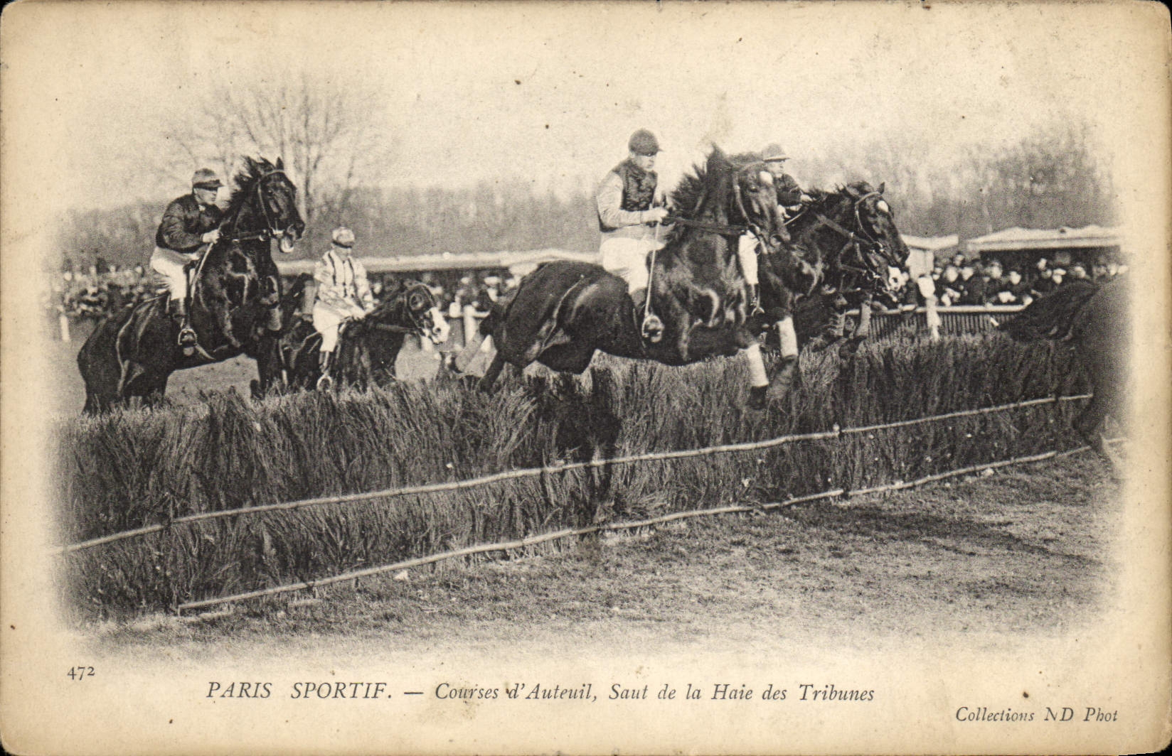 Razas Sporting de Hippisme París de la equitación del caballo de la POSTAL de la VENDIMIA de vallar de Auteuil de las plataformas