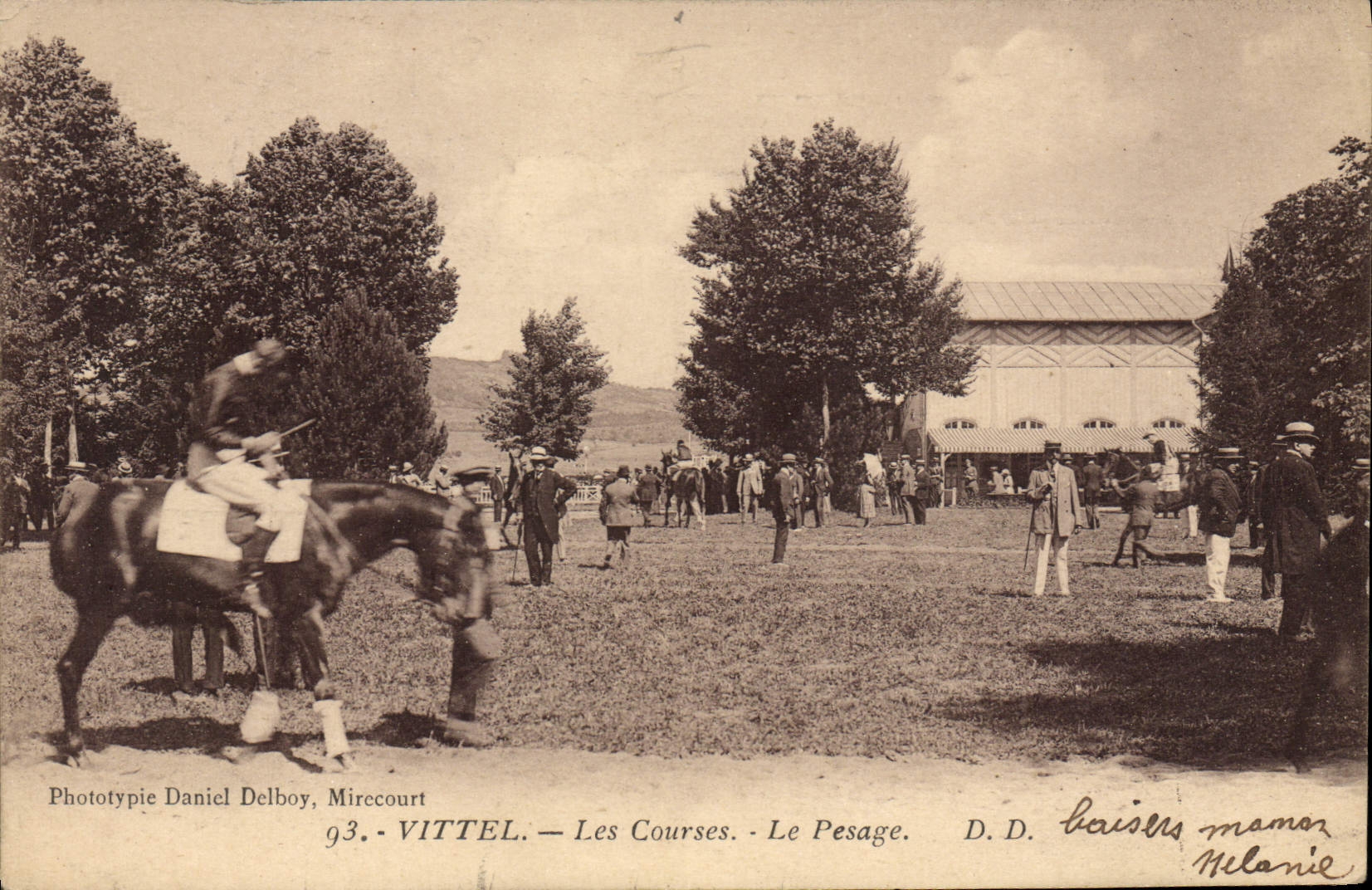 La equitación Hippisme Vittel del caballo de la POSTAL de la VENDIMIA compite con el pesahge