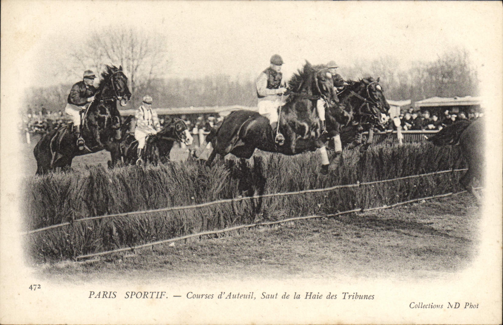 CPA Cheval Equitation Hippisme Paris Sportif Courses d'Auteuil Saut de la haie des tribunes