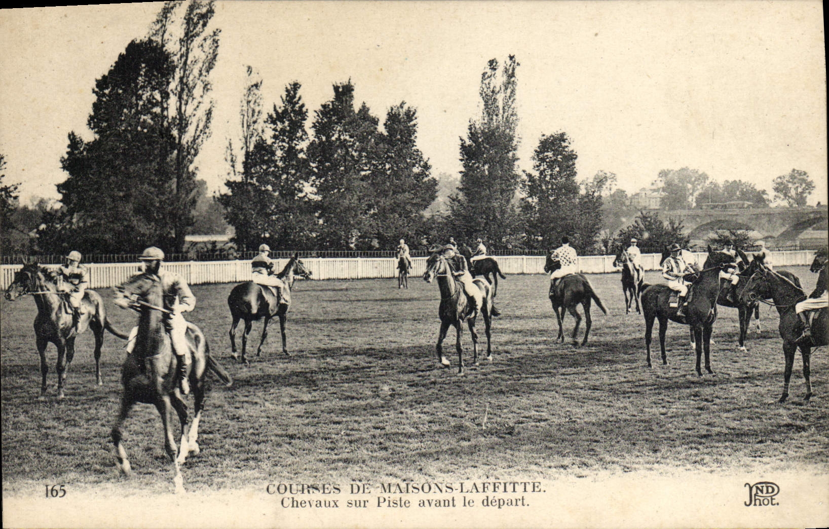 Razas de Hippisme de la equitación del caballo de la POSTAL de la VENDIMIA de caballos de Laffitte de las casas en pista antes de la salida