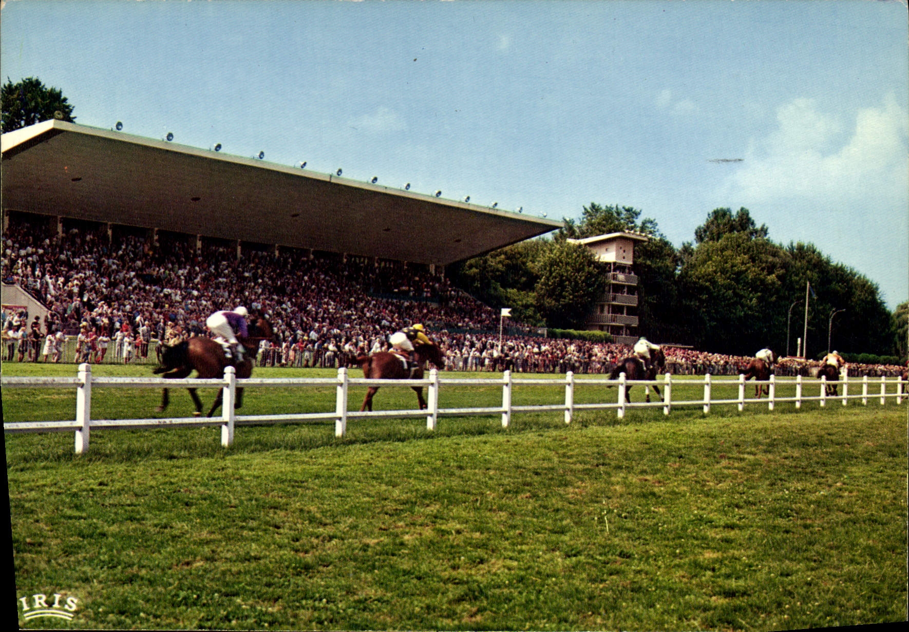 CPM Cheval Equitation Hippisme Vichy Hippodrome Passage de la course devant la tribune