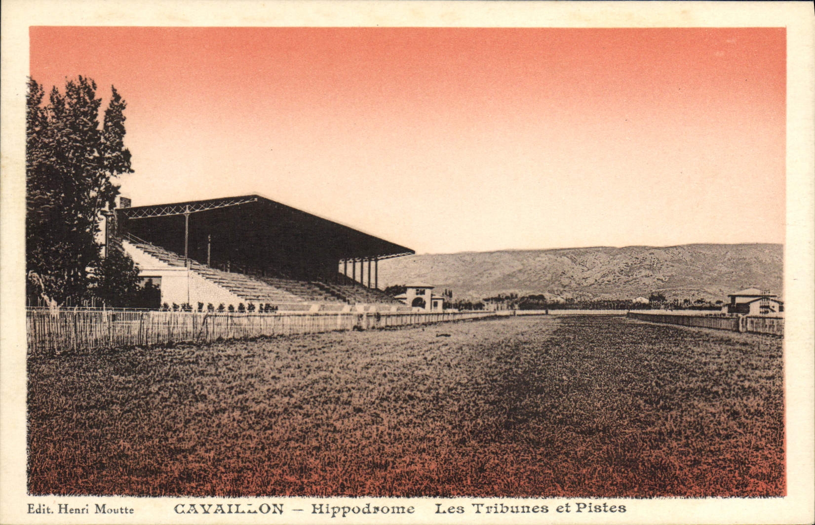 CPA Cheval Equitation Hippisme Cavaillon Hippordome Les tribunes et pistes 