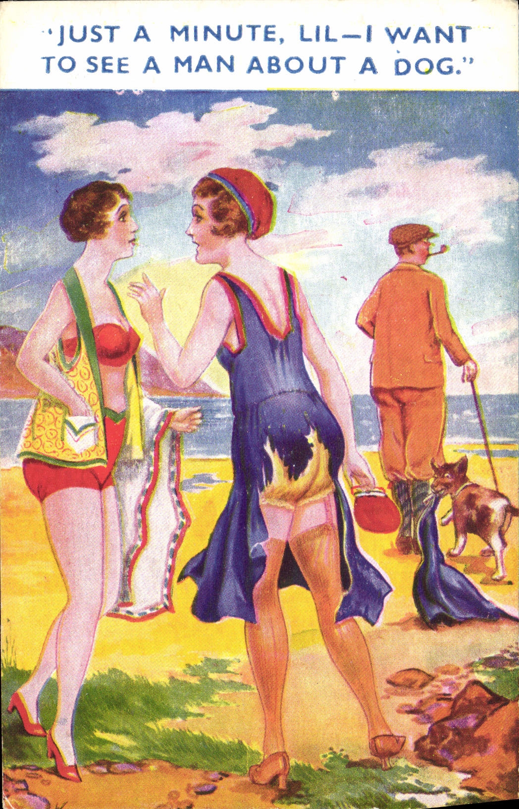 CPA Fantaisie Illustrateur Femmes Maillot de bain Chien 