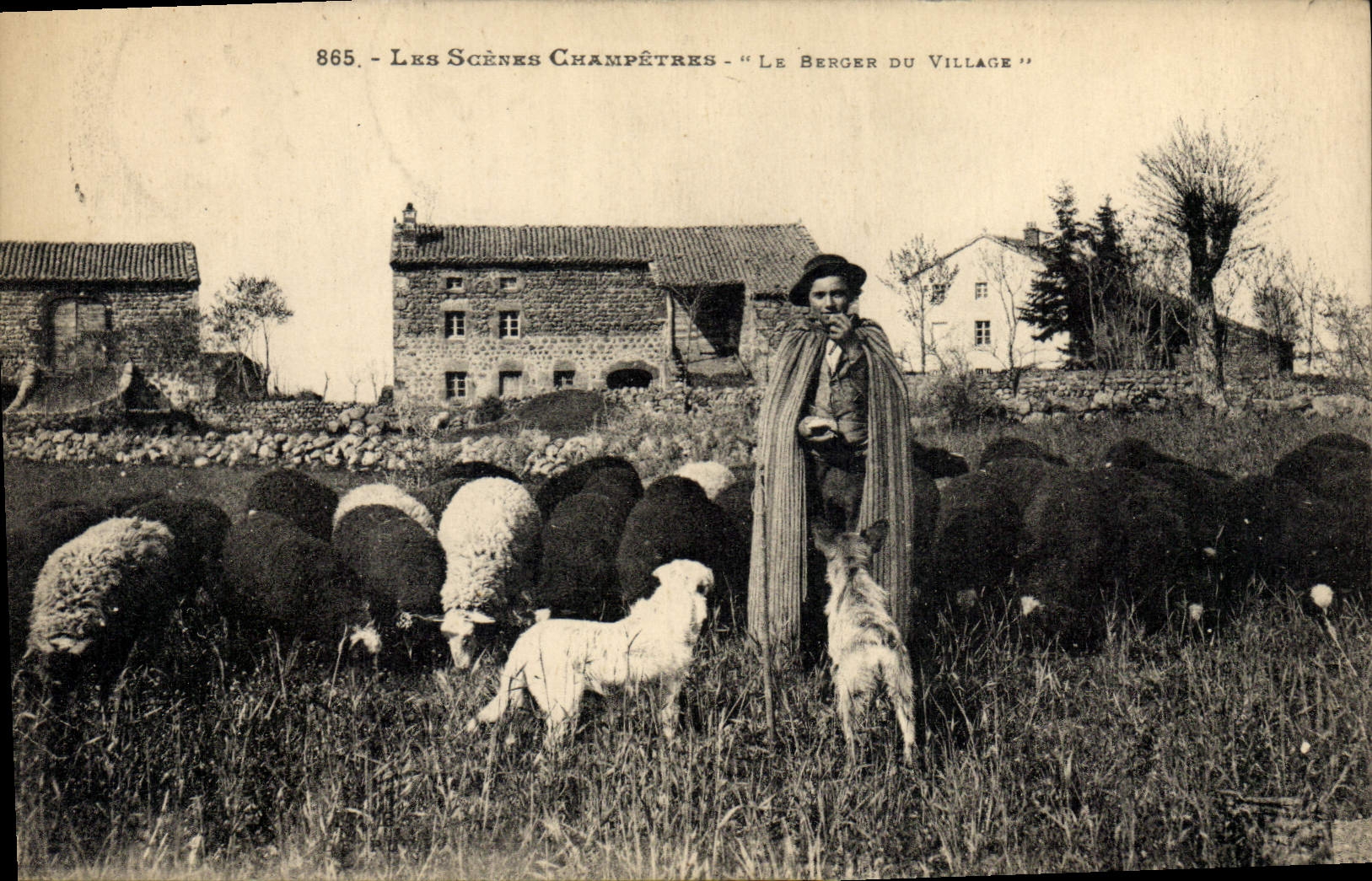 CPA Les scenes champetres Le berge du village Moutons