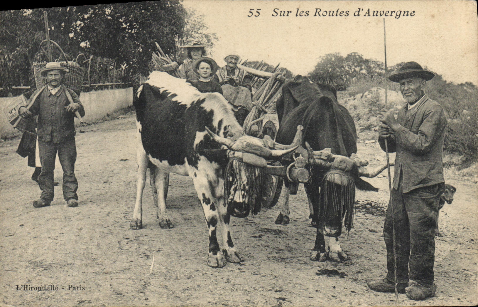 CPA Sur les routes d'Auvergne Vaches Folklore TOP