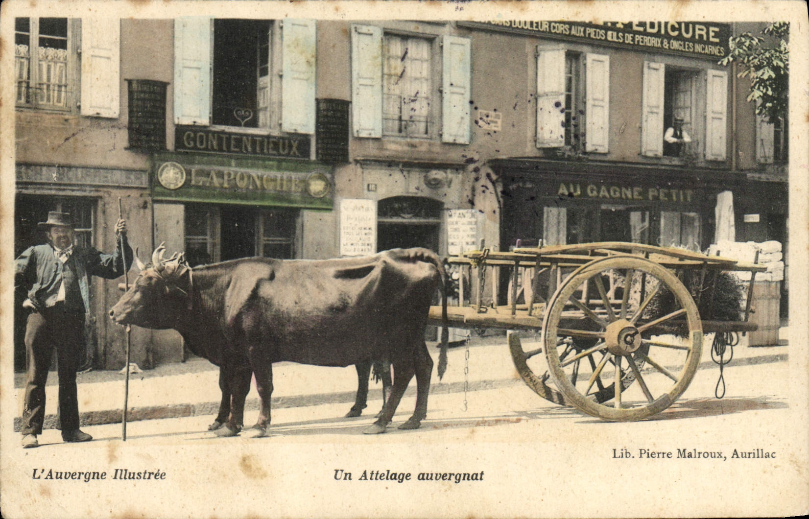 CPA Auvergne Un Attelage auvergnat 