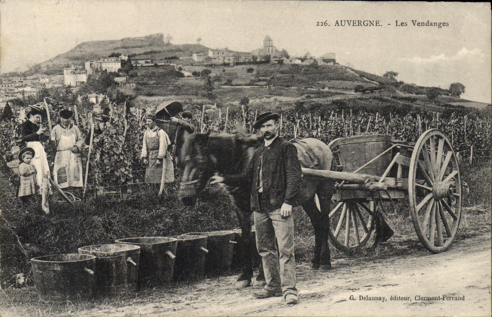 CPA Auvergne Les vendanges Folklore TOP