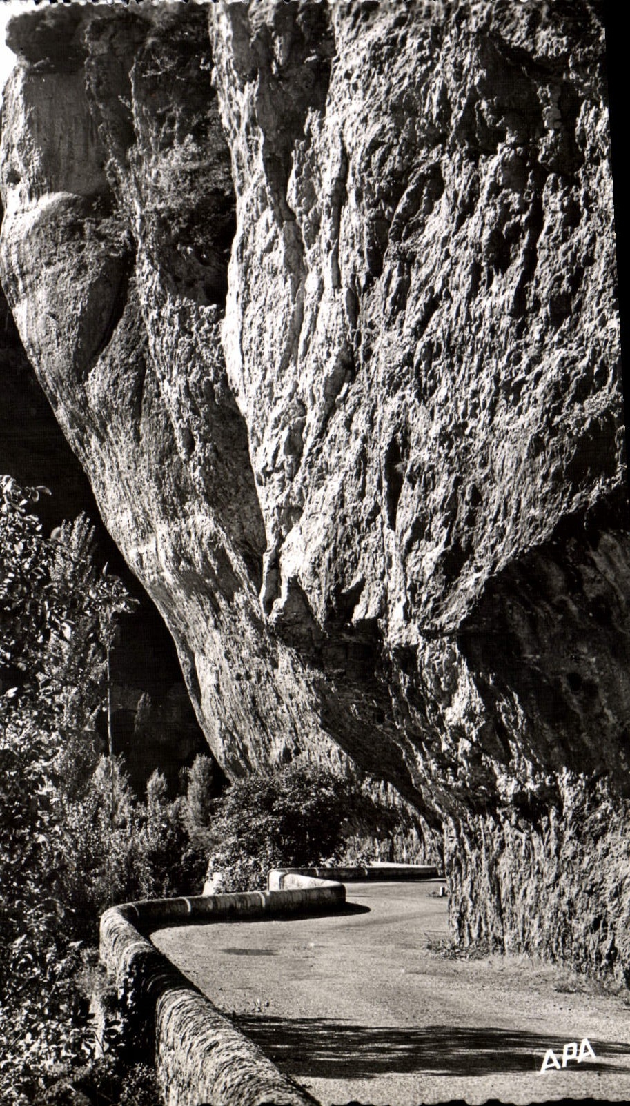 CPM Tarn Le Cirque Des Baumes L'encorbeillement