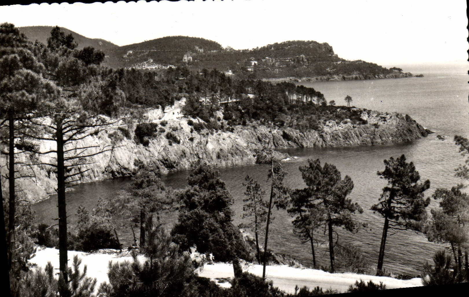 POSTAL MODERNA las calas de la cornisa del oro