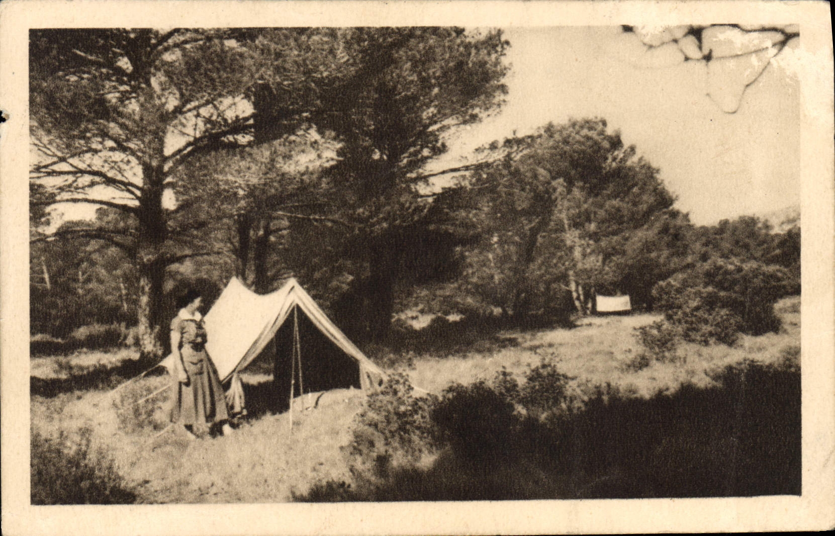 Jamboree del explorador de la POSTAL de la VENDIMIA que explora una esquina bonita del campo en Provence